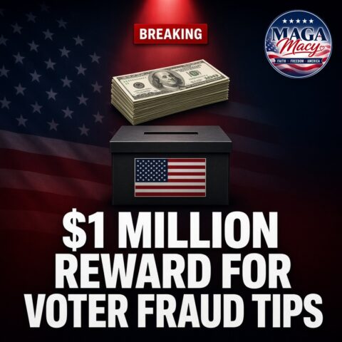 $1 million reward for voter fraud tips